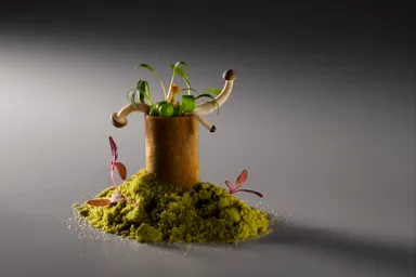 ガガンの“プログレッシブなインド料理”の一品(2)