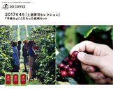 人間の『手摘み』にこだわった最高品質のコーヒーを　期間限定 3種の銘柄セットを4月3日から販売