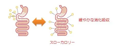 スローカロリーのイメージ図
