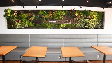 壁面のグリーンも自動給水で元気