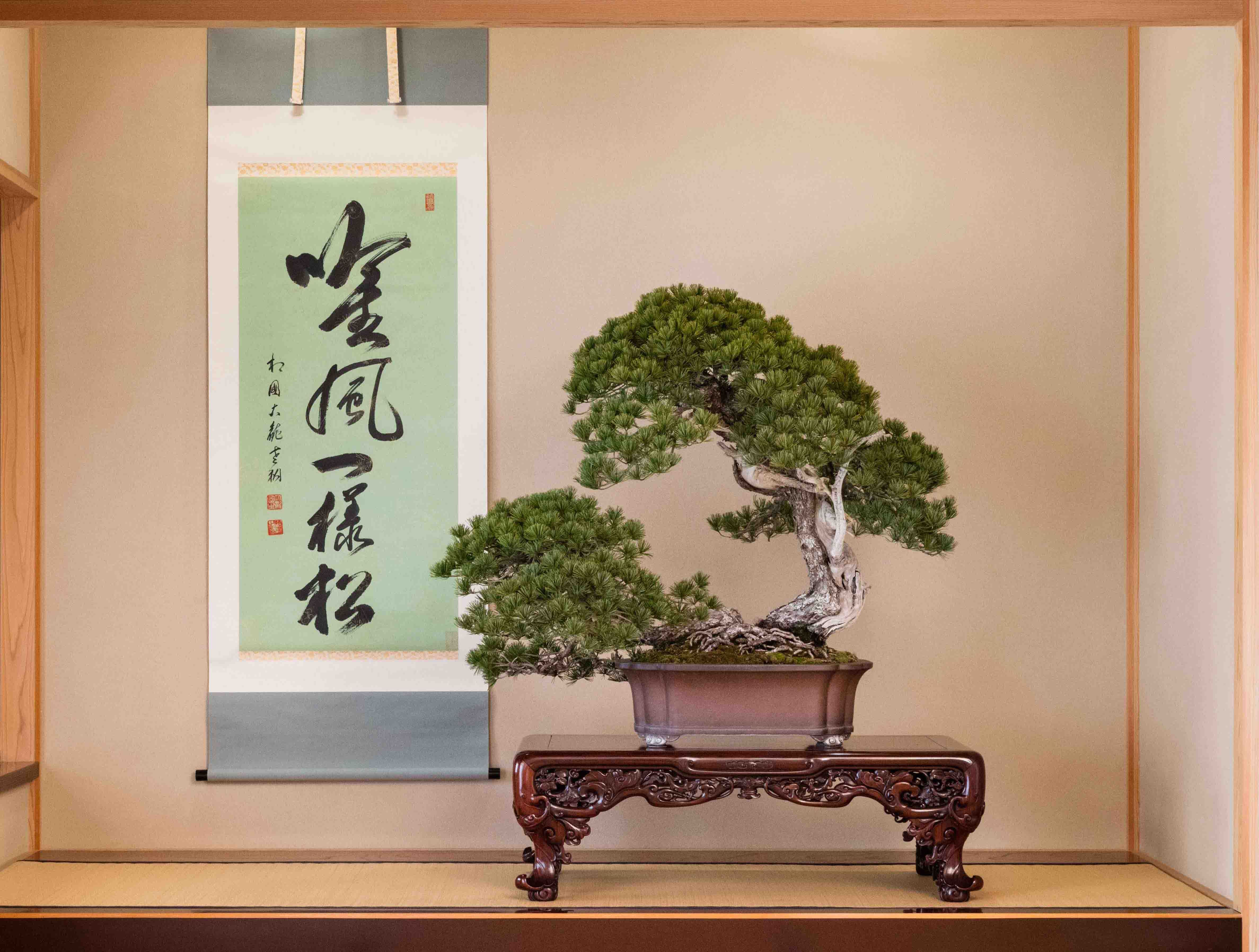 第8回世界盆栽大会inさいたま 1ヶ月前イベントを東京スカイツリーで3月18日 19日に開催 第8回世界盆栽大会inさいたま実行委員会のプレスリリース