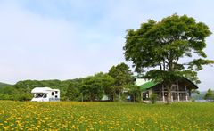 キャンピングカーユーザーの旅行実態調査の結果　半数以上が「夫婦2人」での観光地めぐりを楽しむ
