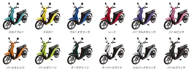 カラーバリエーション