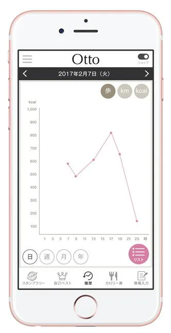 Ottoアプリグラフ表示画面(イメージ)