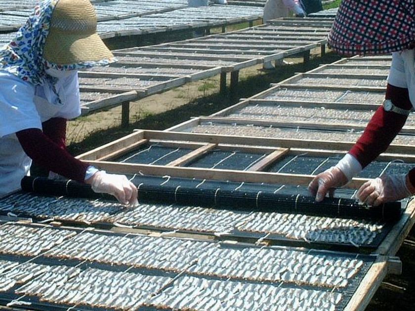 桜の季節、春が旬のいわしとは！？
三越各店で茨城発の「いわし桜干」が
年間6,000袋超の売り上げ