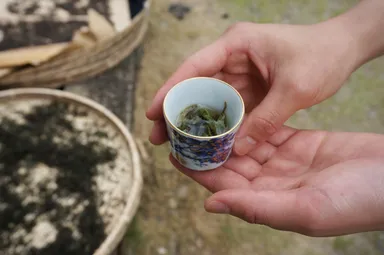 熱湯を注ぎいただく自然茶
