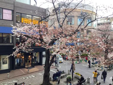 本部からの眺め