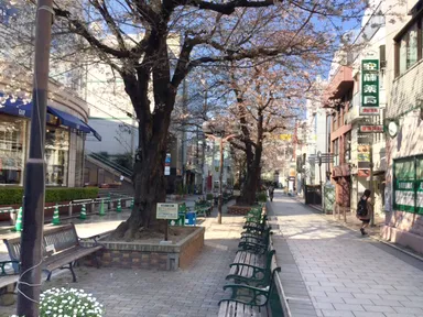 相談室前の九品仏川緑道