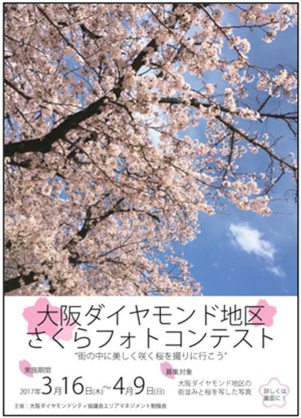 大阪の桜が開花！大阪ダイヤモンド地区
さくらフォトコンテストを4月9日（日）まで開催中
～“街の中に美しく咲く桜を撮りに行こう”～