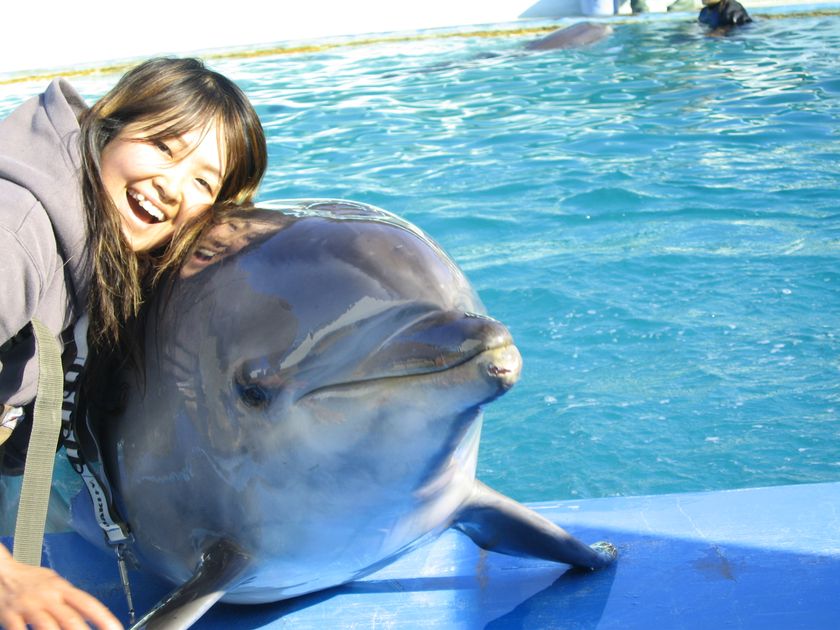 イルカとクジラが“丘”を登る！？
大阪『ワールド牧場』、和歌山からイルカとクジラを輸送