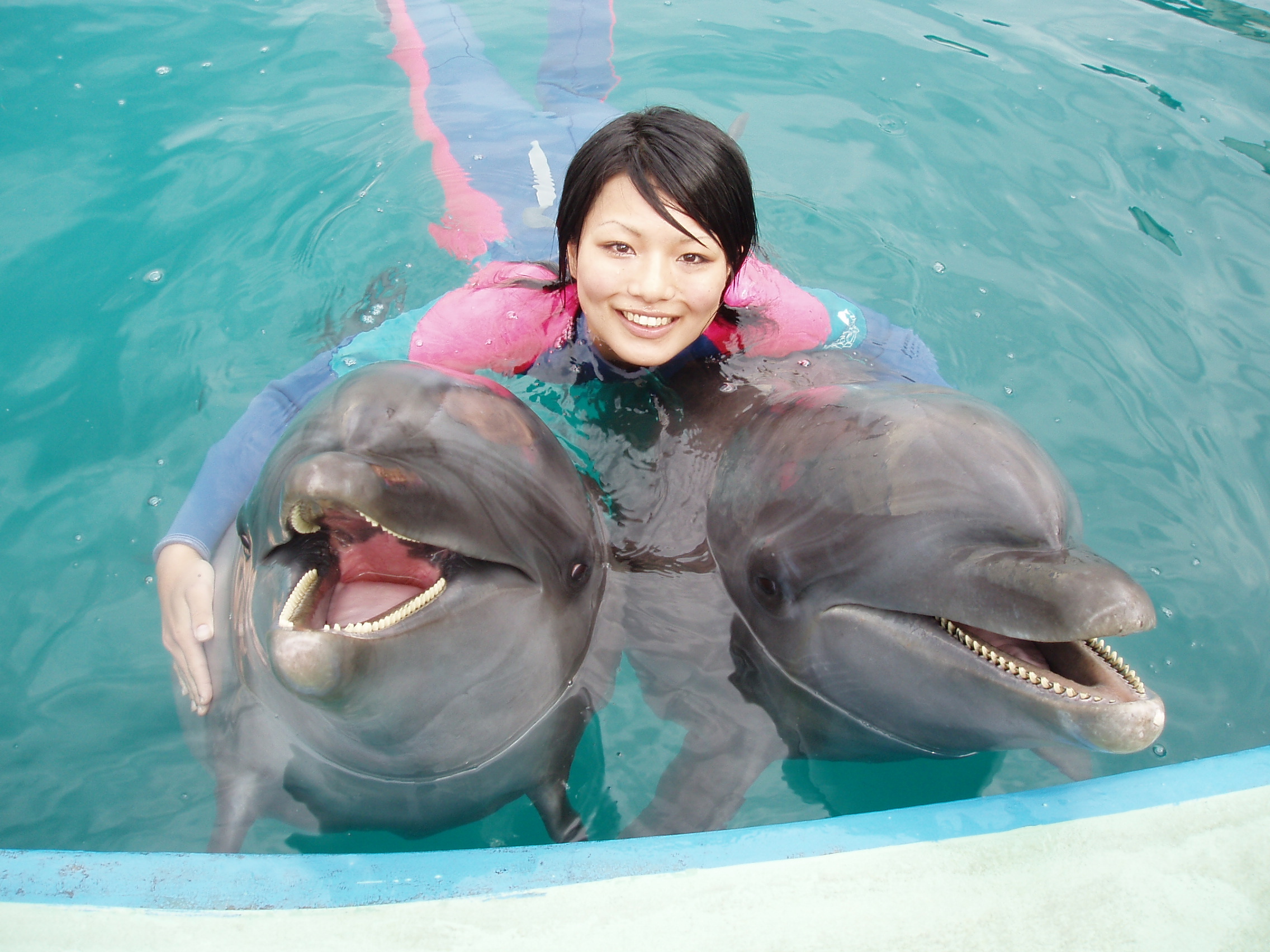 イルカとクジラが 丘 を登る 大阪 ワールド牧場 和歌山からイルカとクジラを輸送 有限会社ワールド牧場のプレスリリース