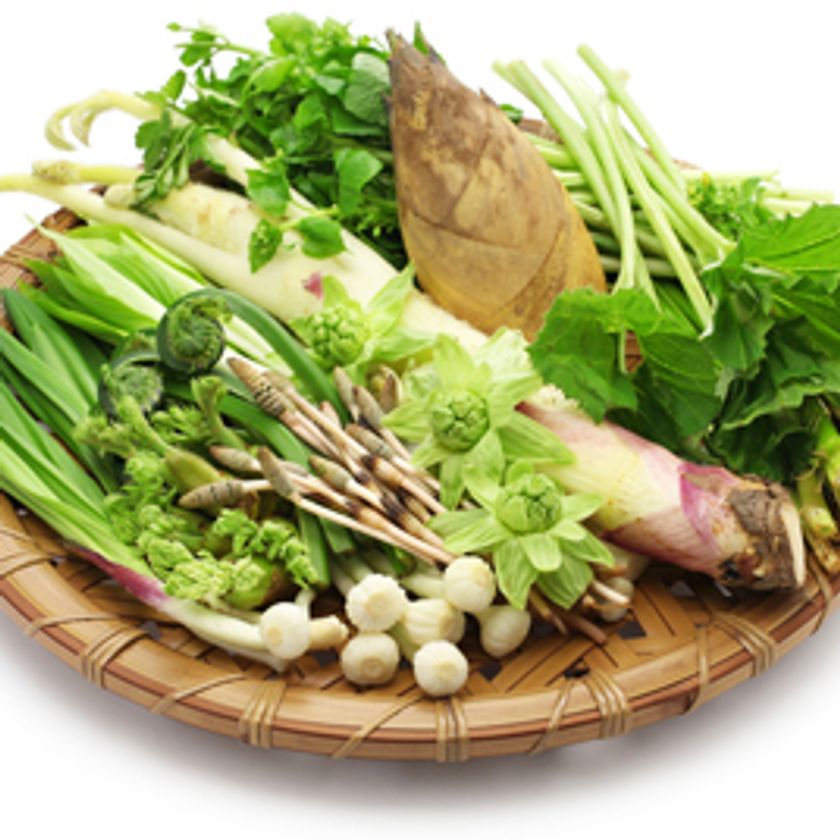 ダイエットに関する最新レポートをmicrodiet.netにて公開
『旬の春野菜でダイエットを促進!』