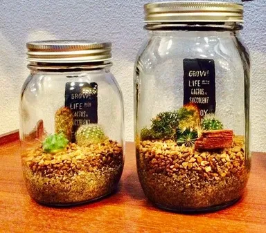 今人気のテラリウムも！