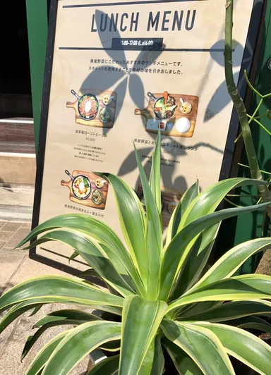 海側からもご入店いただけます