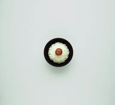 クロテラス飯碗(料理)