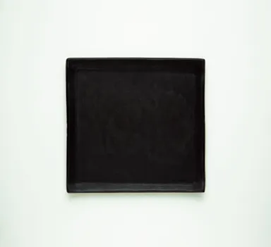 クロテラス角皿大