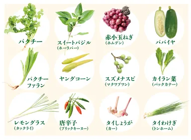 商品ラインナップ(予定)