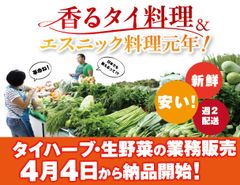 飲食店泣かせのエスニック食材がぐっと身近に！エスニック料理に使用する生ハーブ＆野菜を販売する新事業を4月4日に開始