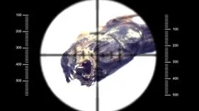 W・R・S・B ムービー2