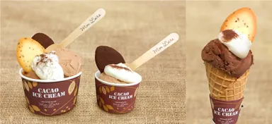 カカオアイスクリーム （左）ダブルカップ （中）シングルカップ（右）シングルコーン