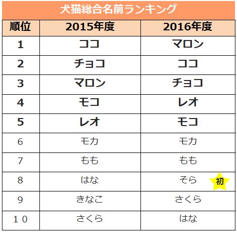 ペットの毛色や雰囲気から名前をつける飼い主が最多 うちの子 につける名前ランキング アイペット損害保険株式会社のプレスリリース