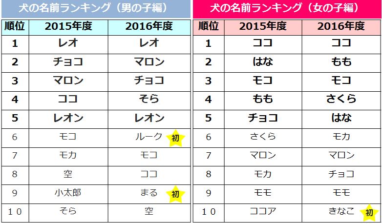 ペットの毛色や雰囲気から名前をつける飼い主が最多 うちの子 につける名前ランキング アイペット損害保険株式会社のプレスリリース