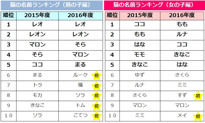 ペットの毛色や雰囲気から名前をつける飼い主が最多 うちの子 につける名前ランキング アイペット損害保険株式会社のプレスリリース