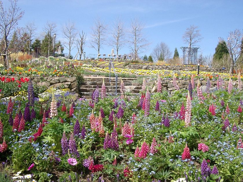 比叡山頂の庭園美術館　～ガーデンミュージアム比叡～
4月15日（土）　2017年度の営業を開始します。
春のテーマは「Flower＆Music」
