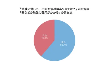 受験に対して、不安や悩みはありますか？の回答の塾などの勉強に費用がかかるの男女比