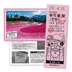 「芝桜記念入場券～ピンク色硬券入場券～」4月15日(土)販売開始　～芝桜開花期間に合わせヘッドマーク掲出等イベントも～