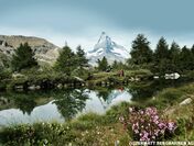 ベルトラ、スイス政府観光局協賛の春キャンペーンを開始　アルプスでのパラグライダー体験などを期間限定価格で提供