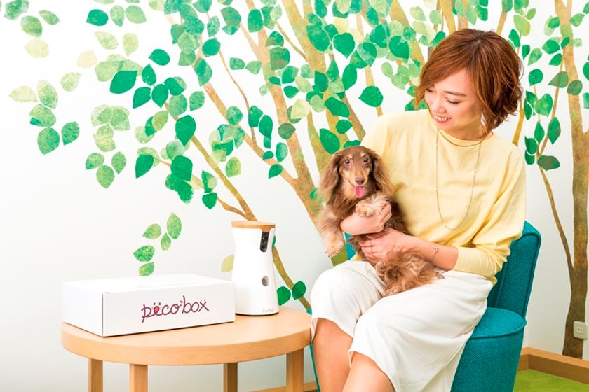 ヒルトン東京ベイ、未来のドッグライフ体験！
IoTなど最先端のペットグッズやサービスを愛犬と楽しめる
「わんわんスマートルーム」、4月17日より提供開始