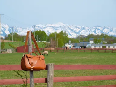 代表作　鞍ショルダー