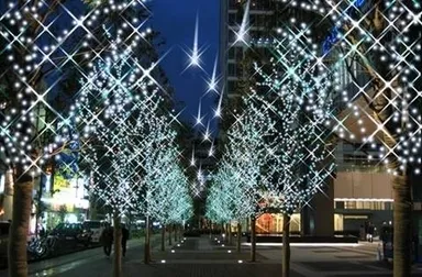 西側街路樹は樹木の間に流れ星がきらめく