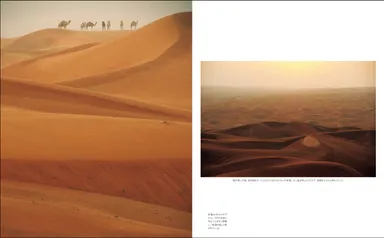 砂嵐の中のラクダたち