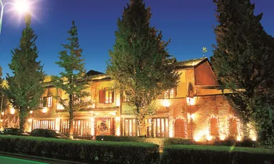 白金プリンセス12