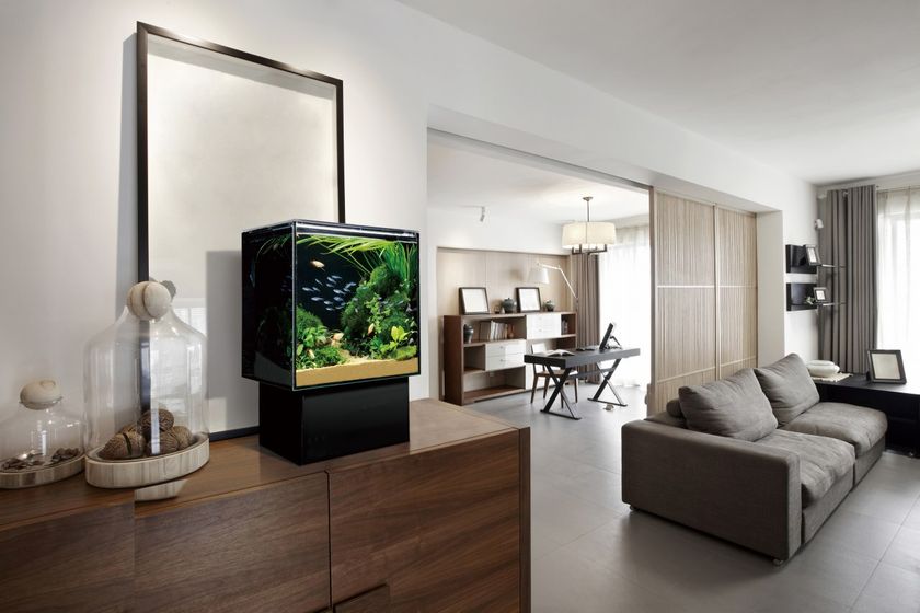 新時代のアクアリウム「グラステリアAGS(アグス)」が
最優秀賞＆経済産業大臣賞を受賞