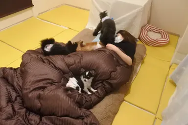 ペットホテルの様子3