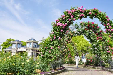 ローズガーデンの様子２