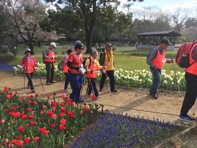 春の桜やチューリップを楽しみながら