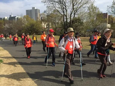 ポールを使ったウォーキング