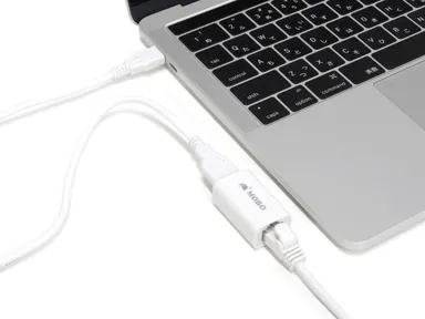 USB to LAN Type-A＆C USB→LAN 変換アダプタ 使用例(1)