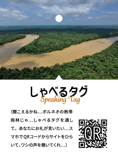 ボルネオ環境保全プロジェクト しゃべるタグ