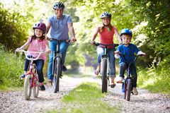 「au自転車向けほけん」イメージ