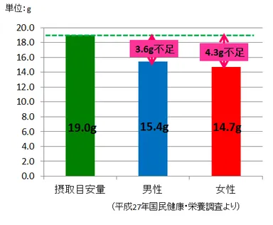 《食物繊維の摂取目安量と現状》