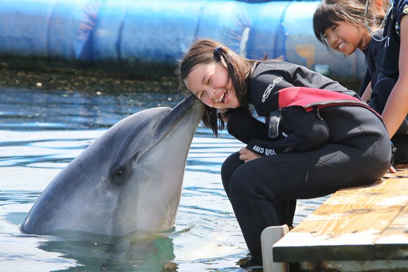 忍者修行や化石発掘など全104種類！夏休みならではの
子ども専門体験型ツアー申込受付を5月11日(木)開始！