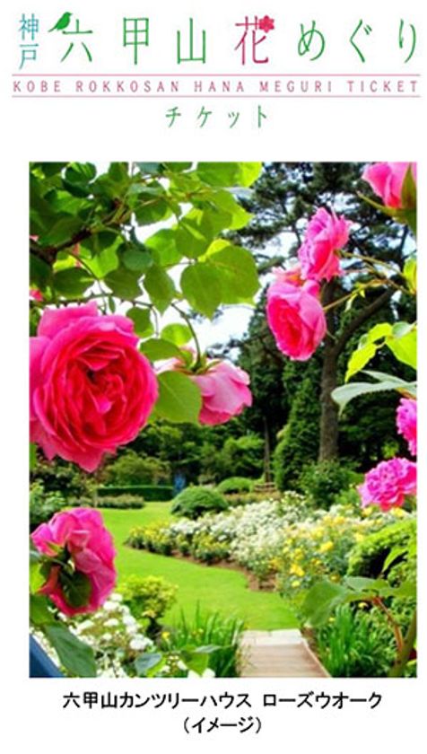 花々のベストシーズン
「神戸 六甲山花めぐりチケット」
5月8日（月）から販売開始！