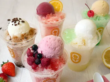 5種類のかき氷