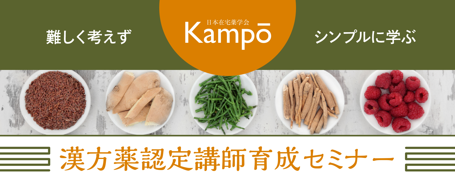 漢方薬・生薬認定薬剤師講座テキスト第4版 真っ黒い