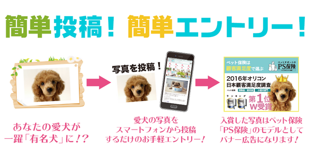 ペット保険「PS保険」のバナーモデルになれる？！
わんフォトモデルオーディション2017を開催中！